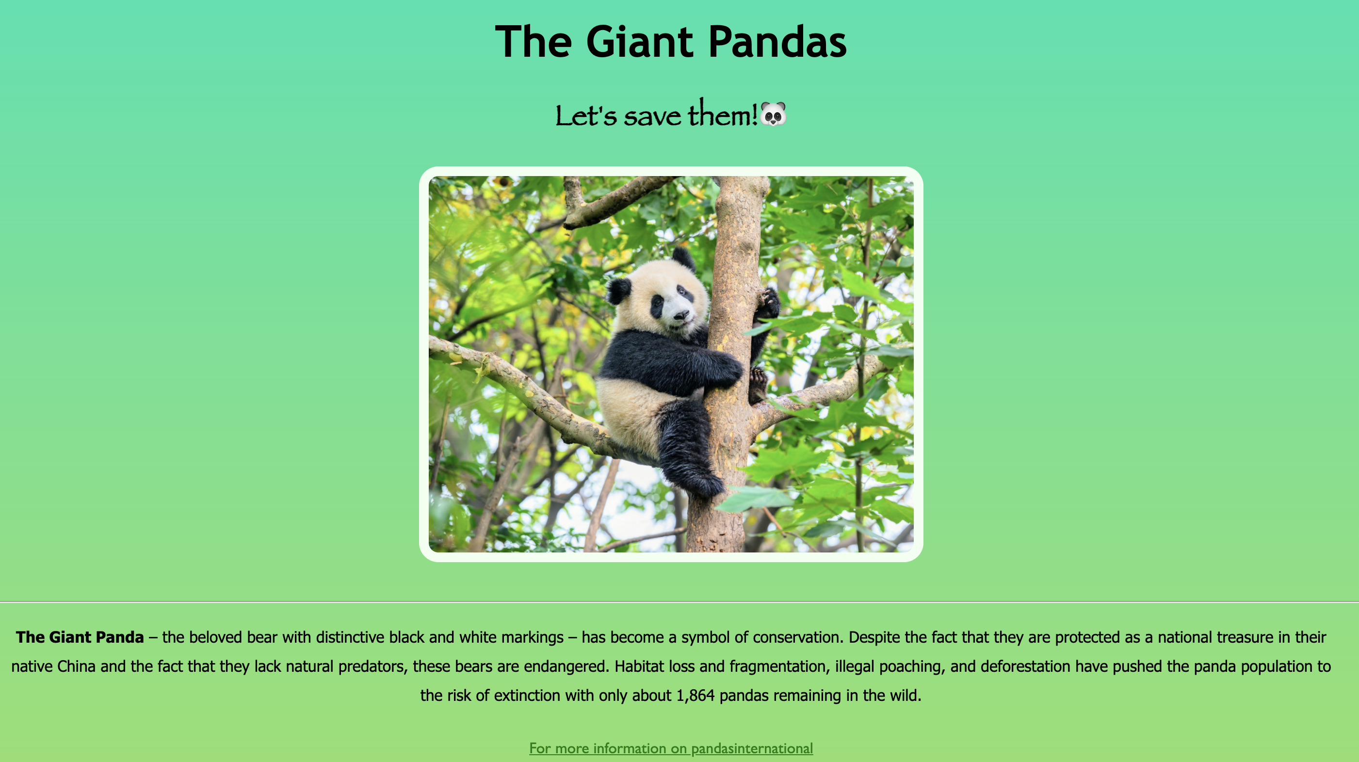 Panda page